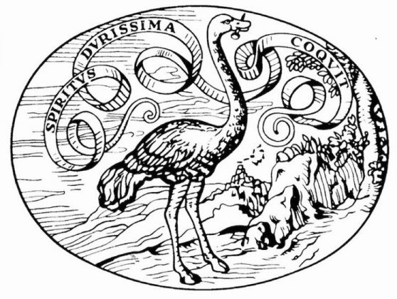 Spiritus Durissima Coquit